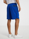 Under Armour Short pants