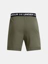 Under Armour UA Vanish Woven 6in Short pants