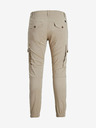 Jack & Jones Paul Trousers