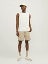 Jack & Jones Gordon Short pants