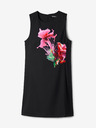 Desigual Phoenix Dresses