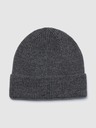 GAP Beanie