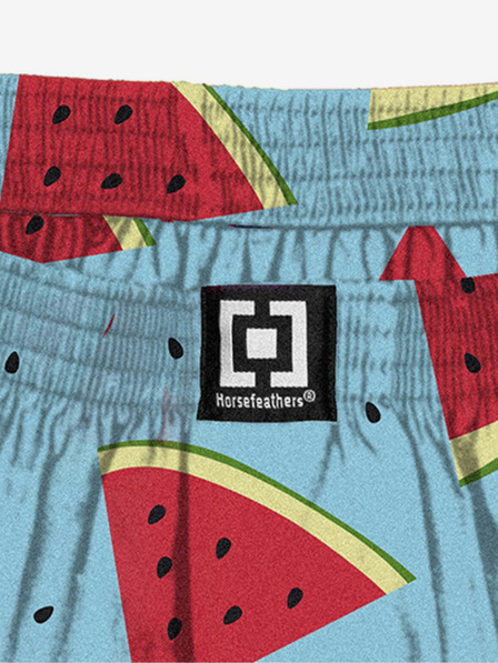 Horsefeathers Boxer shorts