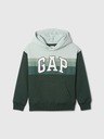 GAP Kids Sweatshirt