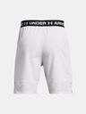 Under Armour UA Vanish Woven 8in Short pants