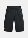 Under Armour UA Tech WM Graphic Short pants