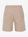 Protest PRTULEY Short pants