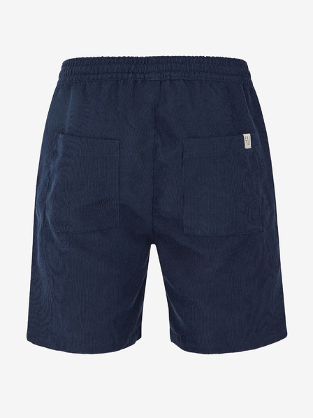 Protest PRTULEY Short pants