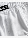 Atlantic Briefs 2 pcs