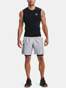 Under Armour UA HG Armour Comp SL Top