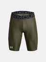 Under Armour Short pants