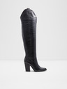 Aldo Beatrine Tall boots