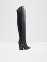 Aldo Beatrine Tall boots