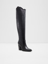 Aldo Beatrine Tall boots