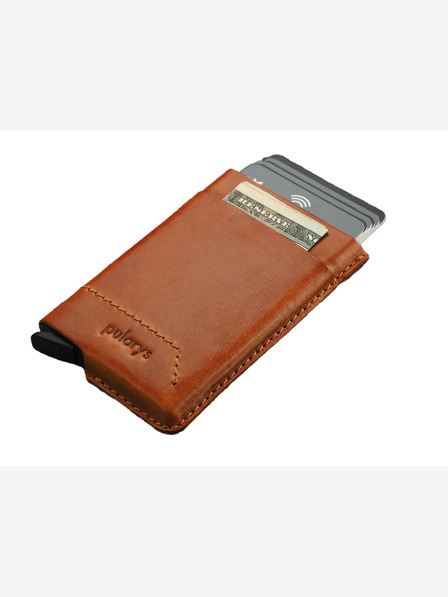 Pularys Gobi Wallet