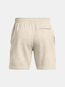 Under Armour UA Icon Fleece Short pants