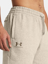 Under Armour UA Icon Fleece Short pants