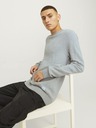 Jack & Jones Globe Sweater