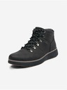 Celio Ankle boots