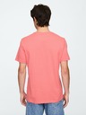 GAP T-shirt