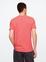 GAP T-shirt